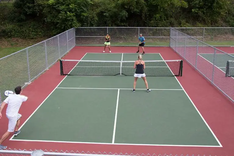 Professional Pickleball Fact Sheet All You Need to Know to Turn Pro